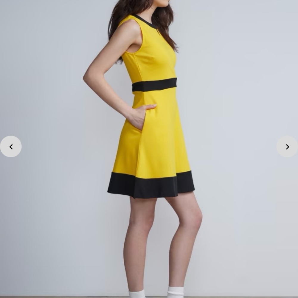 New York & Company Piped Flare Dress - City Knits - Picture 2 of 6